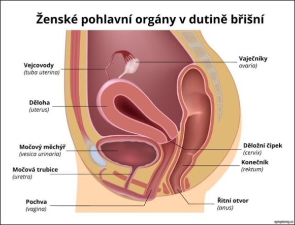 Obrázek 1