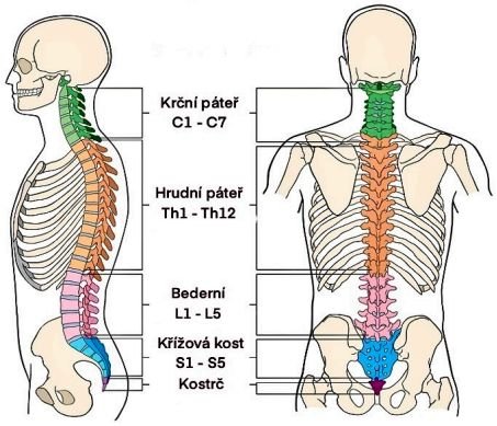 Výhřez meziobratlové ploténky v bederní páteři